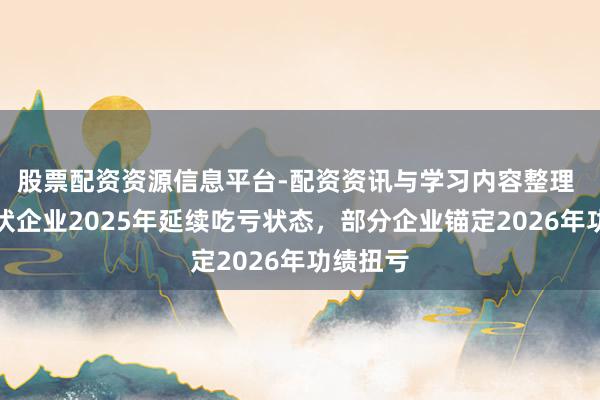 股票配资资源信息平台-配资资讯与学习内容整理 大量光伏企业2025年延续吃亏状态，部分企业锚定2026年功绩扭亏